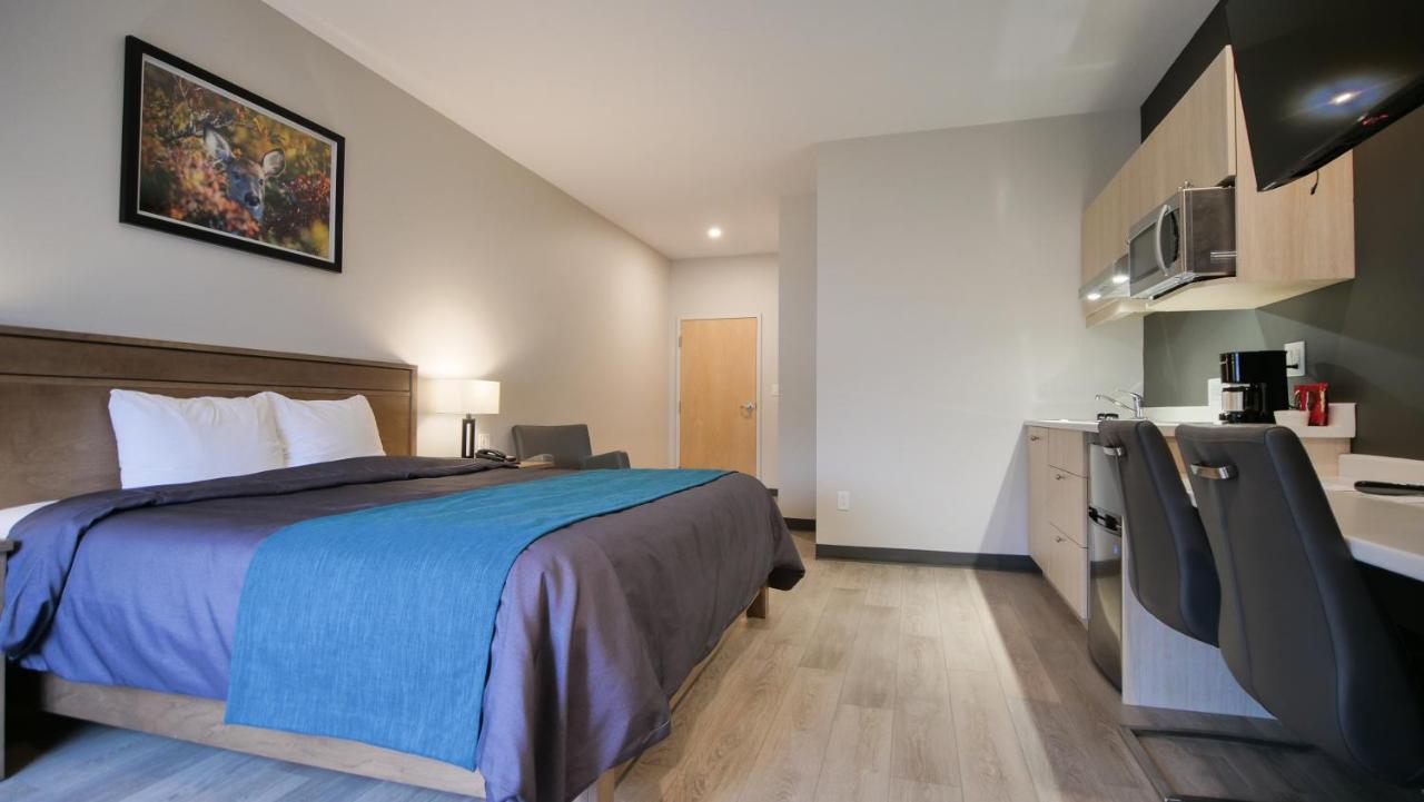 Motel L'Abri Carleton-sur-Mer ภายนอก รูปภาพ